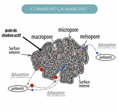 Lot de 3 Charbons Binchotan bio filtre à eau naturel Le Charbon Actif Français